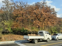 엔젤농장(한국 제1호 유기농가) | 작가 피드  엔젤농장(한국 제1호 유기농가)