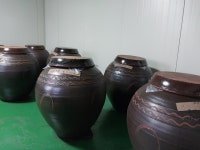 녹고의 눈물(제주 섬오가피 발효주) | 작가 피드