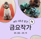 싱글멍글(singlemungle) | 피드 싱글멍글(singlemungle)