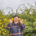 유자발전소 | 작가 피드 유자발전소