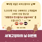 고야미 | 작가 피드
