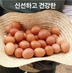 봄빛농장 자연방사유정란[난각번호1번] | 작가 피드