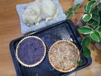 페따미꼬 | 작가 피드 페따미꼬