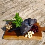 백봉설원(영월백봉오골계농장) | 작가 피드