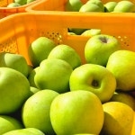 주하농원 | 피드 주하농원