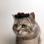 뮤뮤캣 왕꽃머리띠 | 아이디어스 뮤뮤캣 왕꽃머리띠