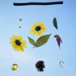 자연그대로, 해바라기 압화 모빌 썬캐처 | 아이디어스 자연그대로, 해바라기 압화 모빌 썬캐처