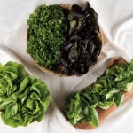 [샐러드]모듬유럽채소 무료배송 | 아이디어스 - 핸드메이드, 수공예, 수제 먹거리 [샐러드]모듬유럽채소 무료배송