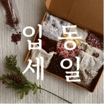 고우다 미장원 | 늘고우다 | 작가 피드 늘고우다