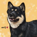 [입점할인]🐶반려동물 그림 일러스트 초상화 드로잉 | 아이디어스 [입점할인]🐶반려동물 그림 일러스트 초상화 드로잉