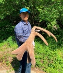 대성산 사슴농장🦌 | 작가 피드