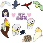 젤리 그네 | 아이디어스 젤리 그네