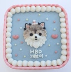[도그찹찹]강아지생일케이크 보틀케이크 강아지생일상차림 | 아이디어스 아이디어스
