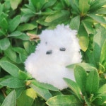 단독✨털반죽 뼝아리 모루인형 키링 1+1✨커플템 우정템 | 아이디어스 단독✨털반죽 뼝아리 모루인형 키링 1+1✨커플템 우정템