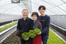 [고급유럽채소] 더드림농장 | 스토리  [고급유럽채소] 더드림농장