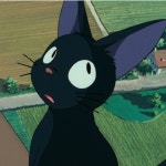 후니네우드 | 구매후기 후니네우드