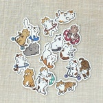 스튜디오1101 | 작가 피드 스튜디오1101