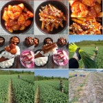 🔵국민가격🔵 (의성마늘장아찌+마늘쫑) 농장 직거래 | 아이디어스 - 핸드메이드, 수공예, 수제 먹거리 🔵국민가격🔵 (의성마늘장아찌+마늘쫑)... 