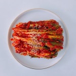 <소소반> 파김치 500g | 아이디어스 - 핸드메이드, 수공예, 수제 먹거리 <소소반> 파김치 500g