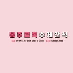 봉주르독 수제간식 | 작가 피드 봉주르독 수제간식
