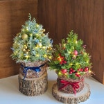 🎄달막꽃집🎄 피톤치드 편백나무 미니 생화 트리 | 아이디어스 🎄달막꽃집🎄 피톤치드 편백나무 미니 생화 트리