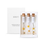[꽃을담다] 국화티스틱세트(3ea) | 아이디어스 [꽃을담다] 국화티스틱세트(3ea)