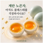 이노바이오팜 작가 피드 | 아이디어스