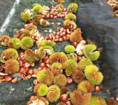 삼정승농장 | 작가 피드