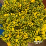 소원농장 | 작가 피드