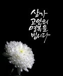 선물하는그녀 율정 | 작가 피드