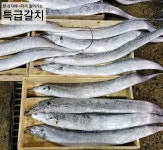 목포 압해어물(창원호 선주) | 스토리  목포 압해어물(창원호 선주)