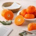 가격인하!! 새콤 달콤 고당도 레드향 선물용2~5K [원산지:작품정보참조] | 아이디어스 가격인하!! 새콤 달콤 고당도 레드향 선물용2~5K [원산지... 