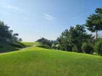 베리해피펀팜 | 판매중인 작품 베리해피펀팜
