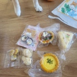 [당일발송]오간식 강아지케이크 반려견생일파티세트 | 아이디어스 [당일발송]오간식 강아지케이크 반려견생일파티세트