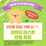 로컬크리에이터, 피톤센트&퍼피플 | 작가 피드