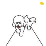 조이토스트 | 작가 피드