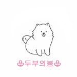 강아지 수제간식 댕댕쿠키  | 아이디어스 - 핸드메이드, 수공예, 수제 먹거리 강아지 수제간식 댕댕쿠키 