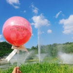 먹고가개 | 구매후기 먹고가개