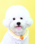 따스움 | 구매후기 따스움