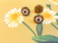 파티수 | 스토리  파티수