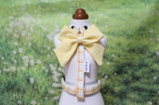 리틀오렌지샵 | 피드 리틀오렌지샵