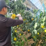 제주그린팜 | 작가 피드