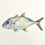 Y.S. trevally painting (원도) | 아이디어스 Y.S. trevally painting (원도)