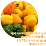 도란도란 펫푸드 | 작가 피드