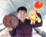 엄지영지버섯농장 | 스토리  엄지영지버섯농장