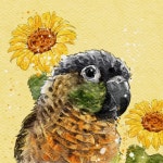 5월이벤트💕반려동물 수채화 일러스트 드로잉 그림선물 | 아이디어스 5월이벤트💕반려동물 수채화 일러스트 드로잉 그림선물