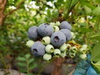 인씨네농장 | 작가 피드