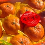 🍊제주아린팜 서귀포 16Brix 고당도 하우스 레드향 [원산지... 아이디어스 🍊제주아린팜 서귀포 16Brix 고당도 하우스 레드향 [원산지... 