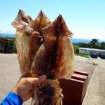 동성수산 | 작가 피드 동성수산