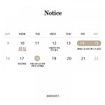 바르다펫 | 스토리  바르다펫